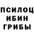 Псилоцибиновые грибы GOLDEN TEACHER Dmitry Lisovsky