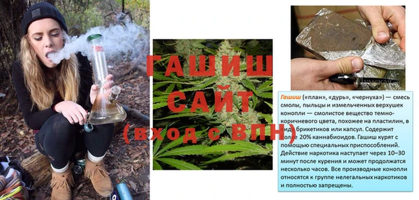 индика Бежецк
